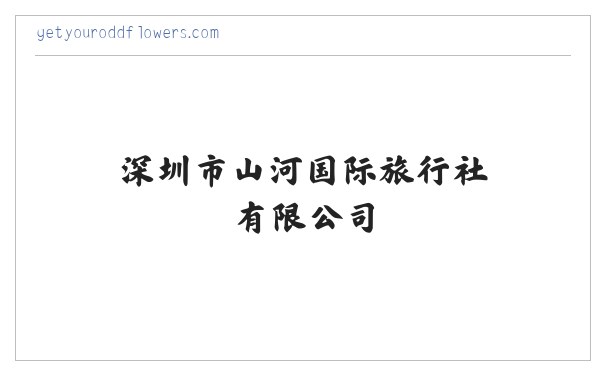 深圳市山河国际旅行社有限公司 缩略图